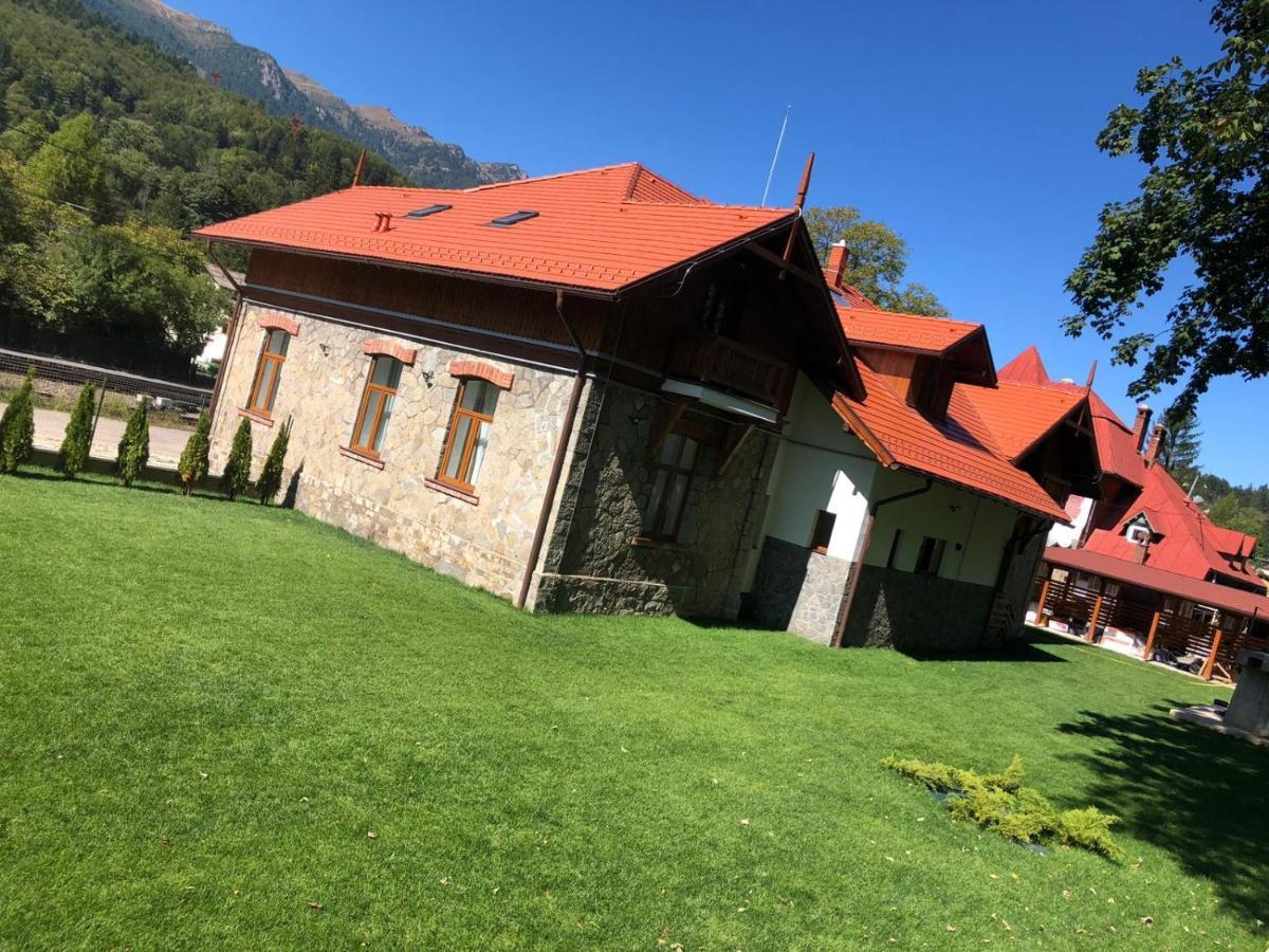 Pensiunea Piscul Cainelui Sinaia Exterior foto