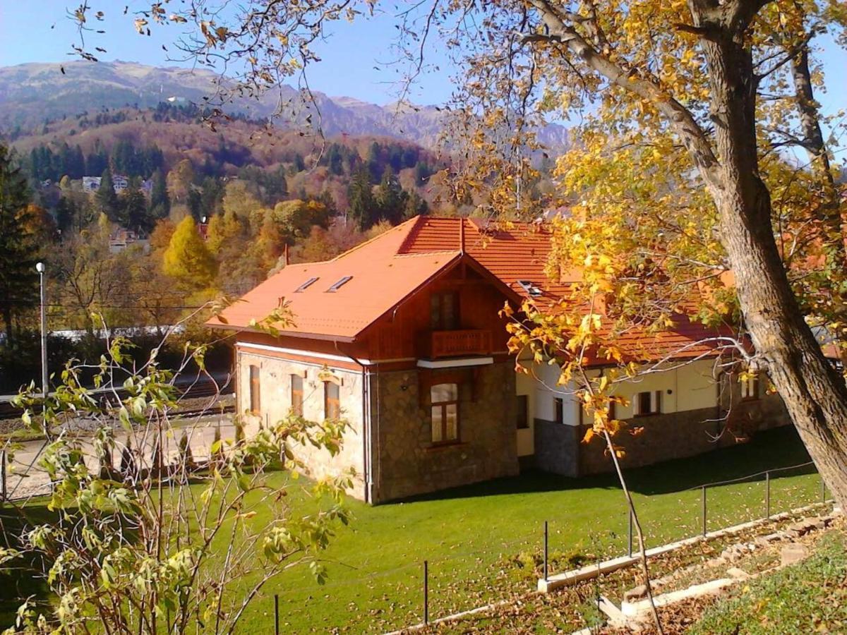 Pensiunea Piscul Cainelui Sinaia Exterior foto
